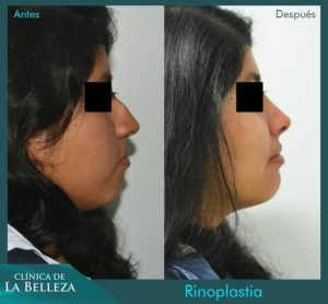 Clínica de la Belleza 12 v1